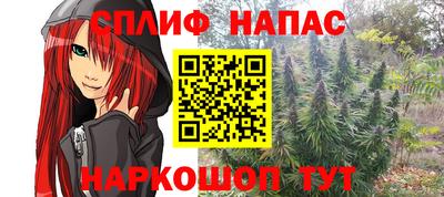 индика Берёзовский