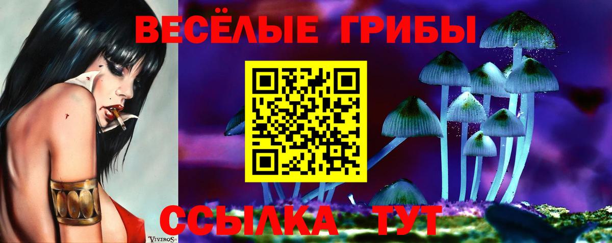 Галлюциногенные грибы Psilocybe  Вход с VPN  Кизляр  где продают наркотики  Галлюциногенные грибы Psilocybe 