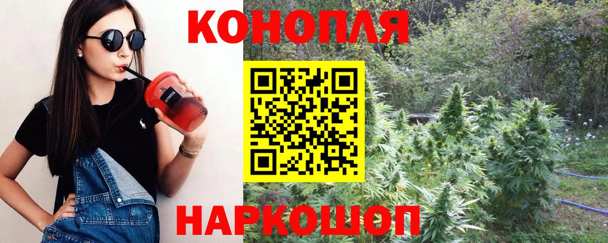 Бошки марихуана план  Шишки марихуана сатива  Кизляр  Вход с VPN 